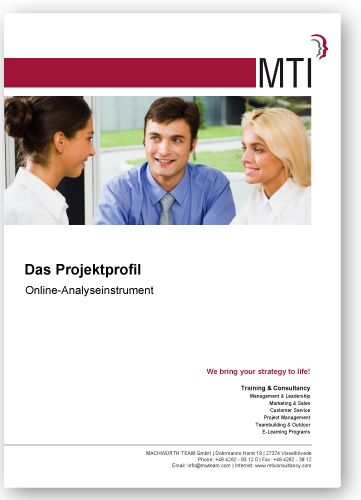 MTI Online Analyseinstrument: Das Projekt Profil